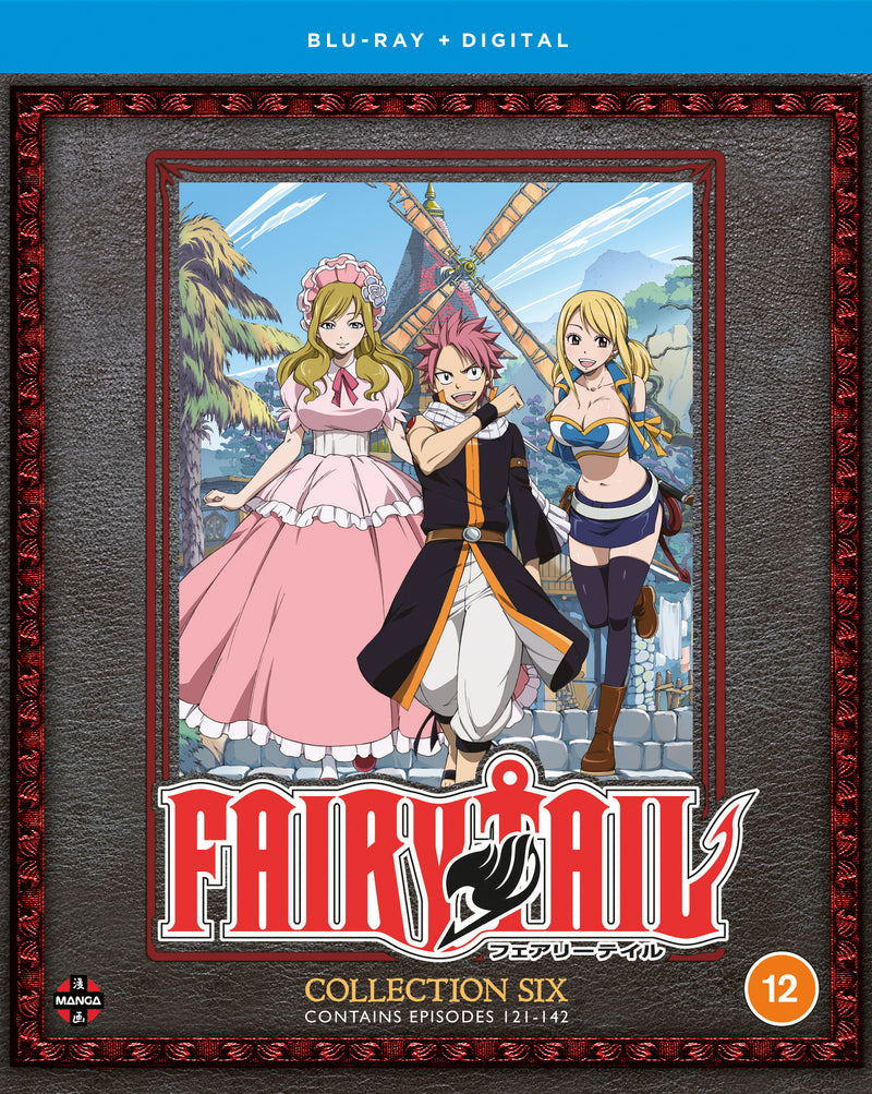 Fairy Tail: Collection 6