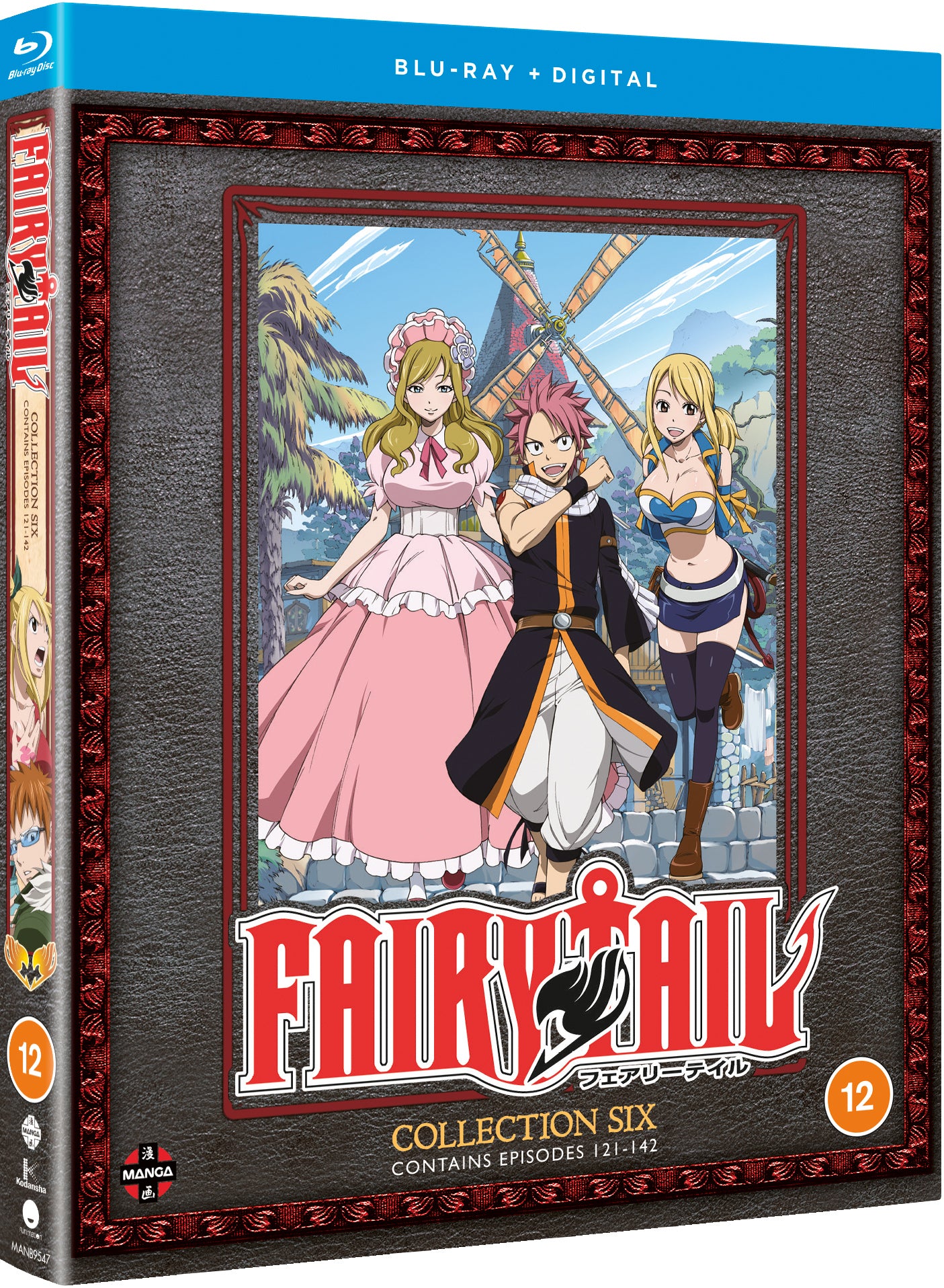 Fairy Tail: Collection 6