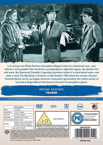 The Big Sleep