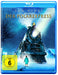 Der Polarexpress