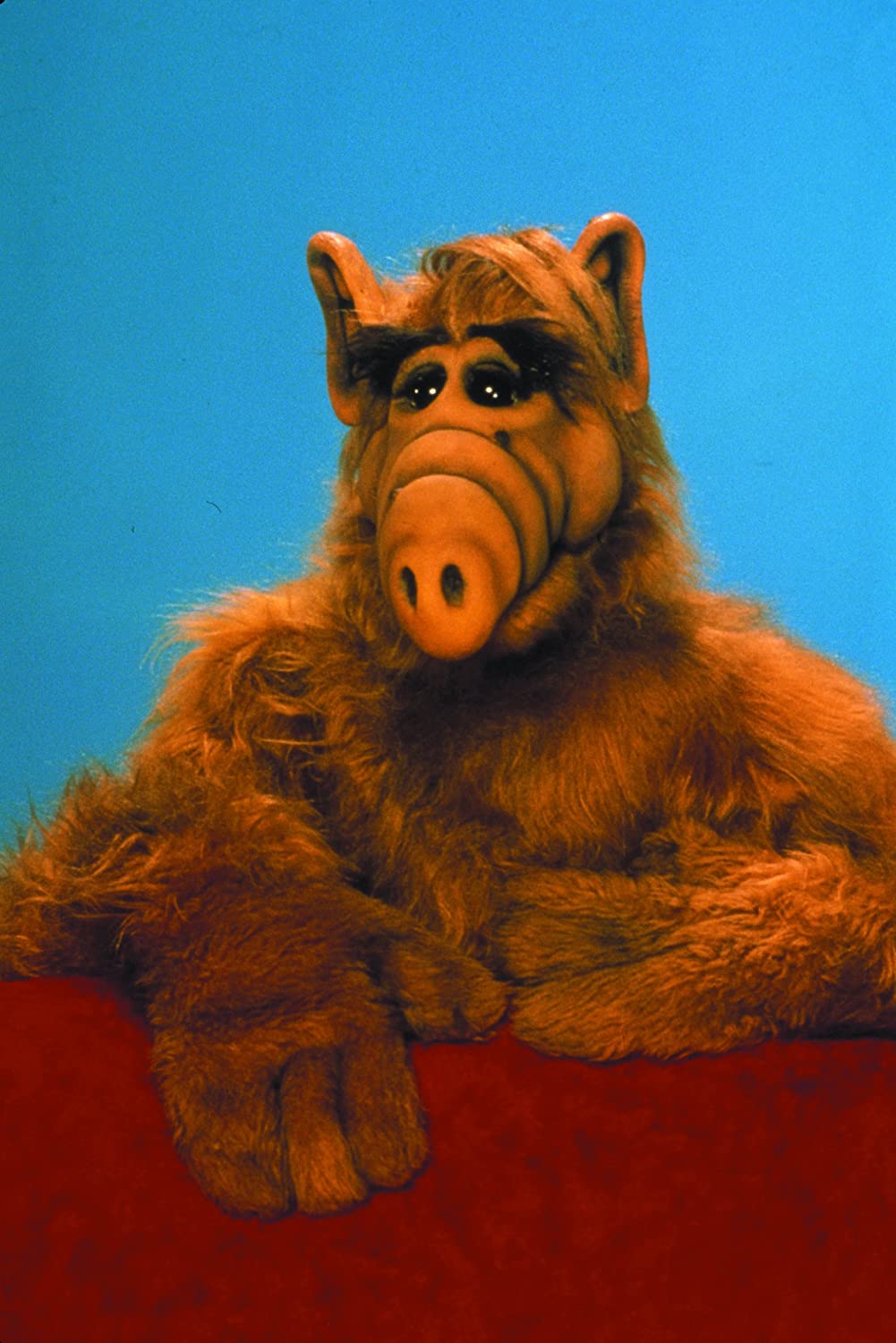 ALF - Die komplette zweite Staffel