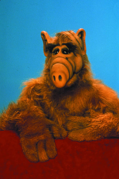 ALF - Die komplette zweite Staffel