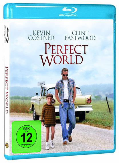 Perfect World
