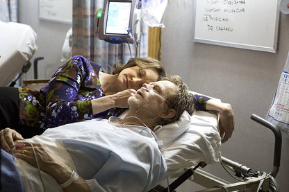 Shameless - Staffel 4