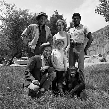 Daktari: Die komplette vierte Staffel