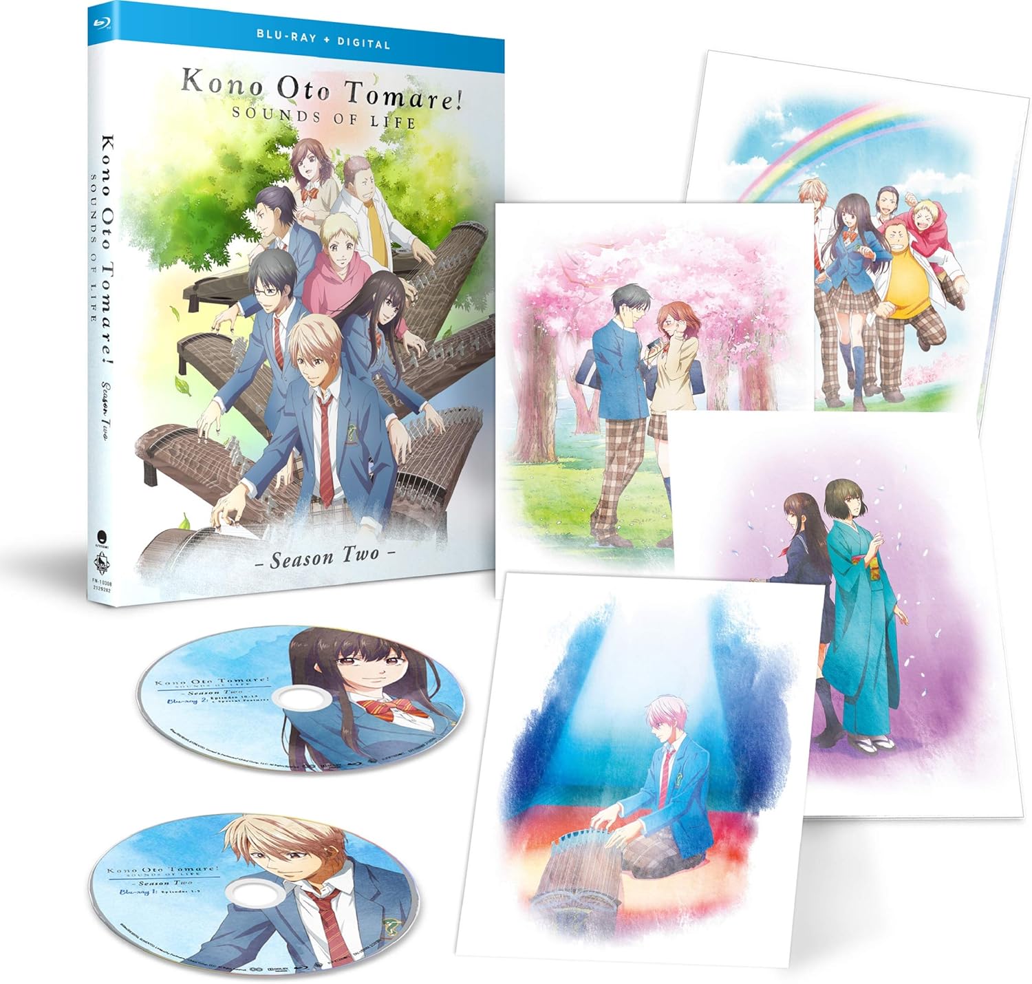 Kono Oto Tomare!: Sounds of Life - Season Two