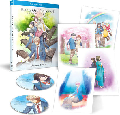 Kono Oto Tomare!: Sounds of Life - Season Two