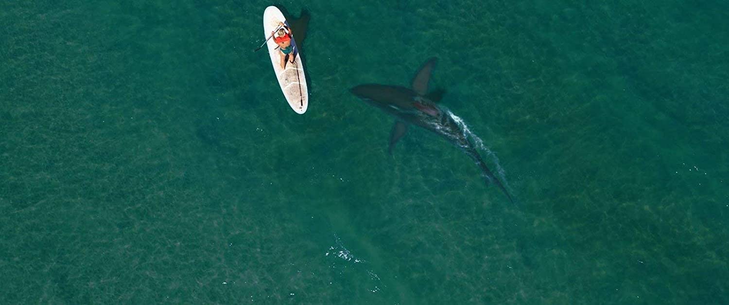Shark Season - Angriff aus der Tiefe (uncut)