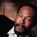 Marvin Gaye