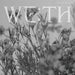 We:th (Seen Version)