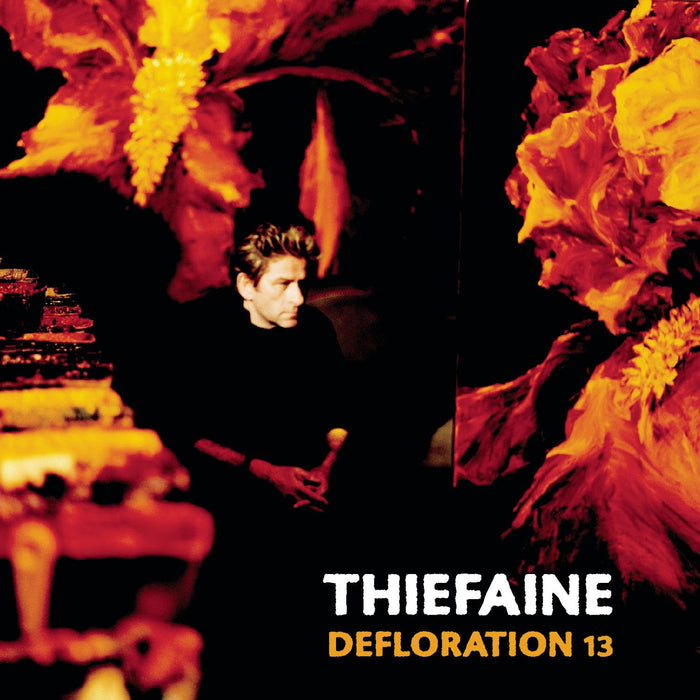Hubert-Felix Thiefaine - Defloration 13