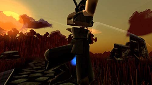 Ninja Legends PSVR (PS4
