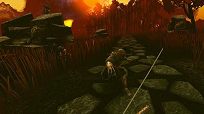 Ninja Legends PSVR (PS4