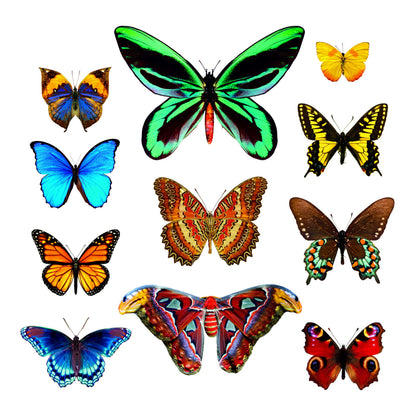 Butterflies and Moths Flying Stickers Book