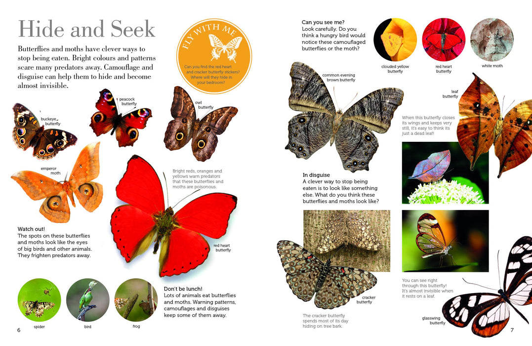 Butterflies and Moths Flying Stickers Book
