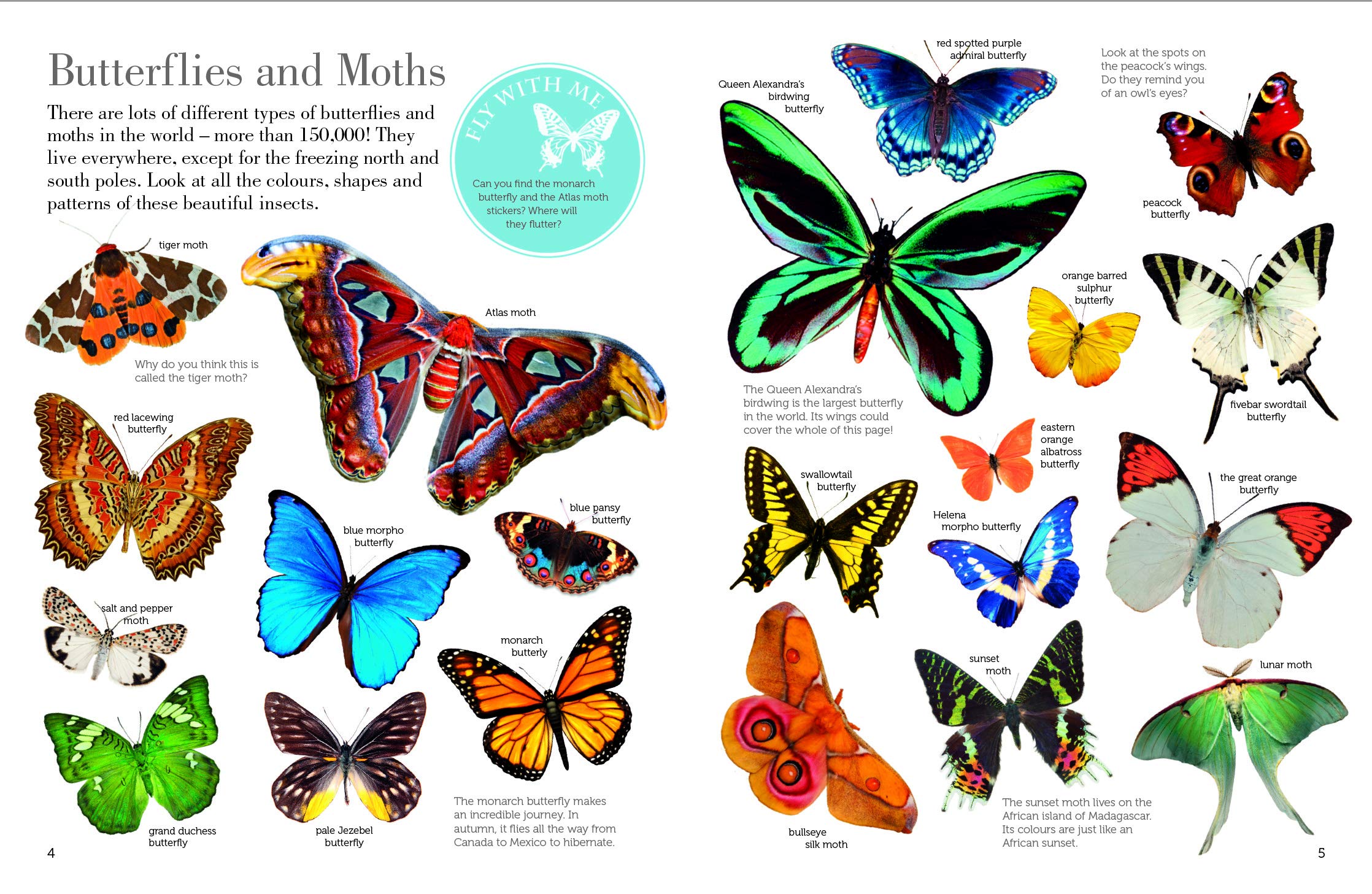 Butterflies and Moths Flying Stickers Book
