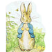 Large Shaped Peter Rabbit Board Book
