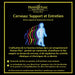 Cerveau:Support Et Entr (French Brain Repairs & Maintenance)
