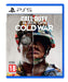Call of Duty®: Black Ops Cold War (PS5