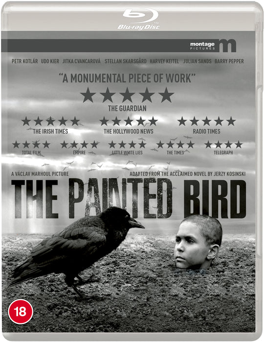 The Painted Bird