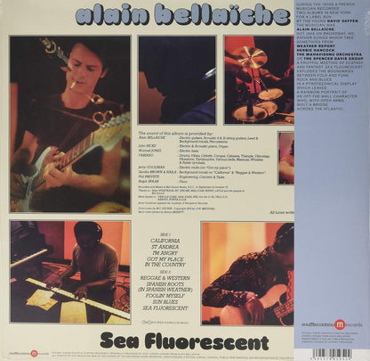 Sea Fluorescent