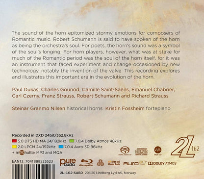 The Horn in Romanticism