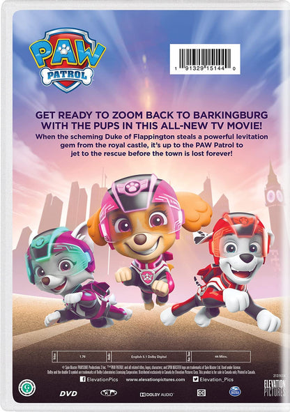 PAW Patrol: Jet to the Rescue