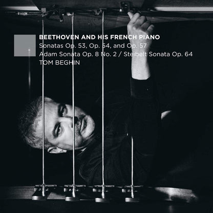 Tom Beghin: Beethoven and His French Piano
