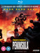 Train to Busan Presents - Peninsula