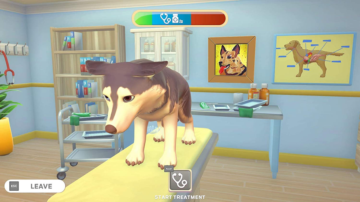 Maximum Games My Universe: Pet Clinic (PS4