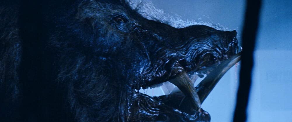 Razorback