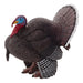 ANIMAL PLANET Farm Life Male Turkey Toy Figure, Multi-colour (387285)