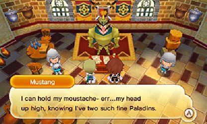 Fantasy Life (Nintendo 3DS
