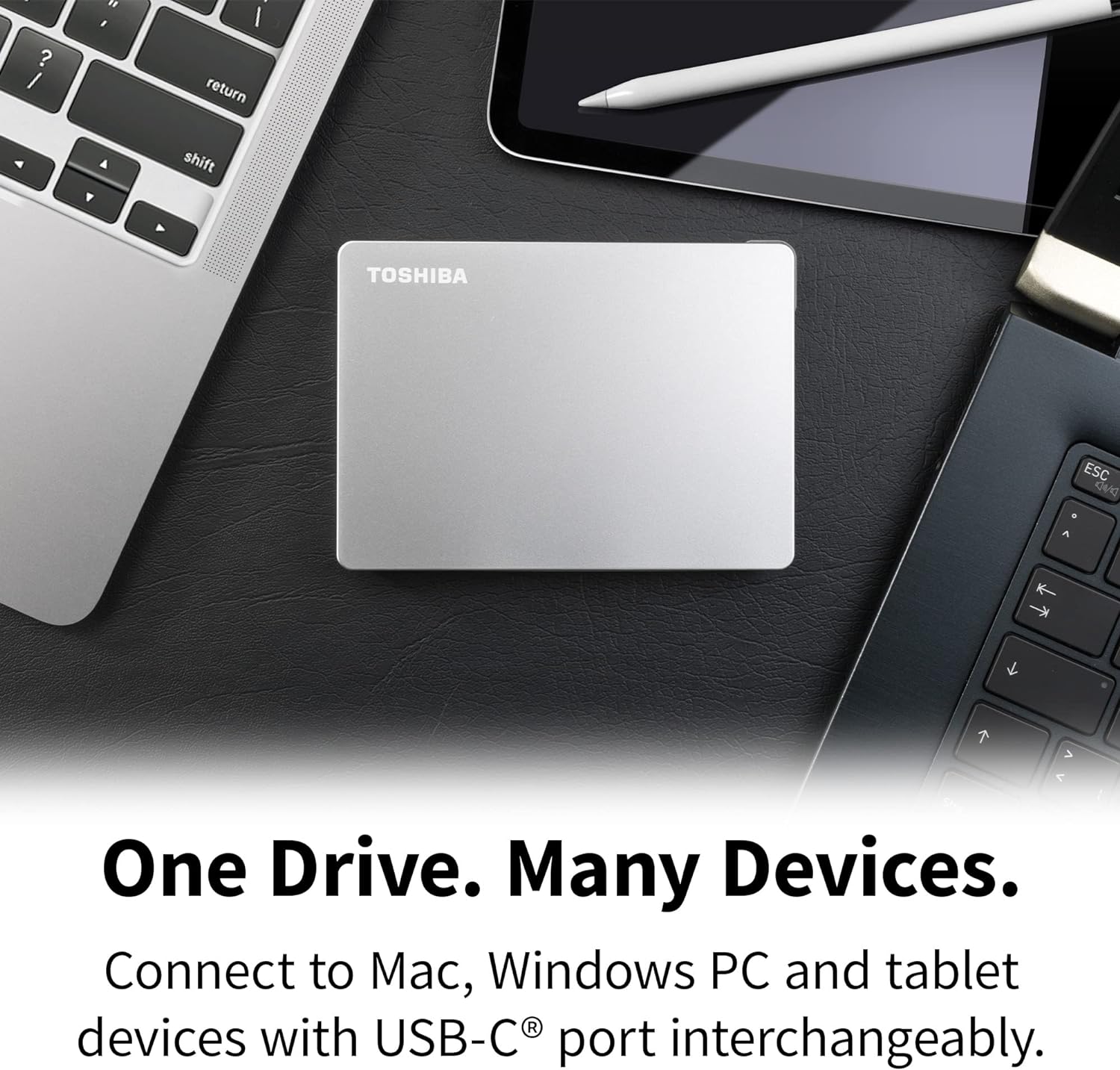Toshiba 2TB Canvio Flex Portable External Hard Drive for Mac, Windows PC and Tablet use, compatible with most USB-C and USB-A devices, Silver (HDTX120ESCAA) Canvio Flex 2TB