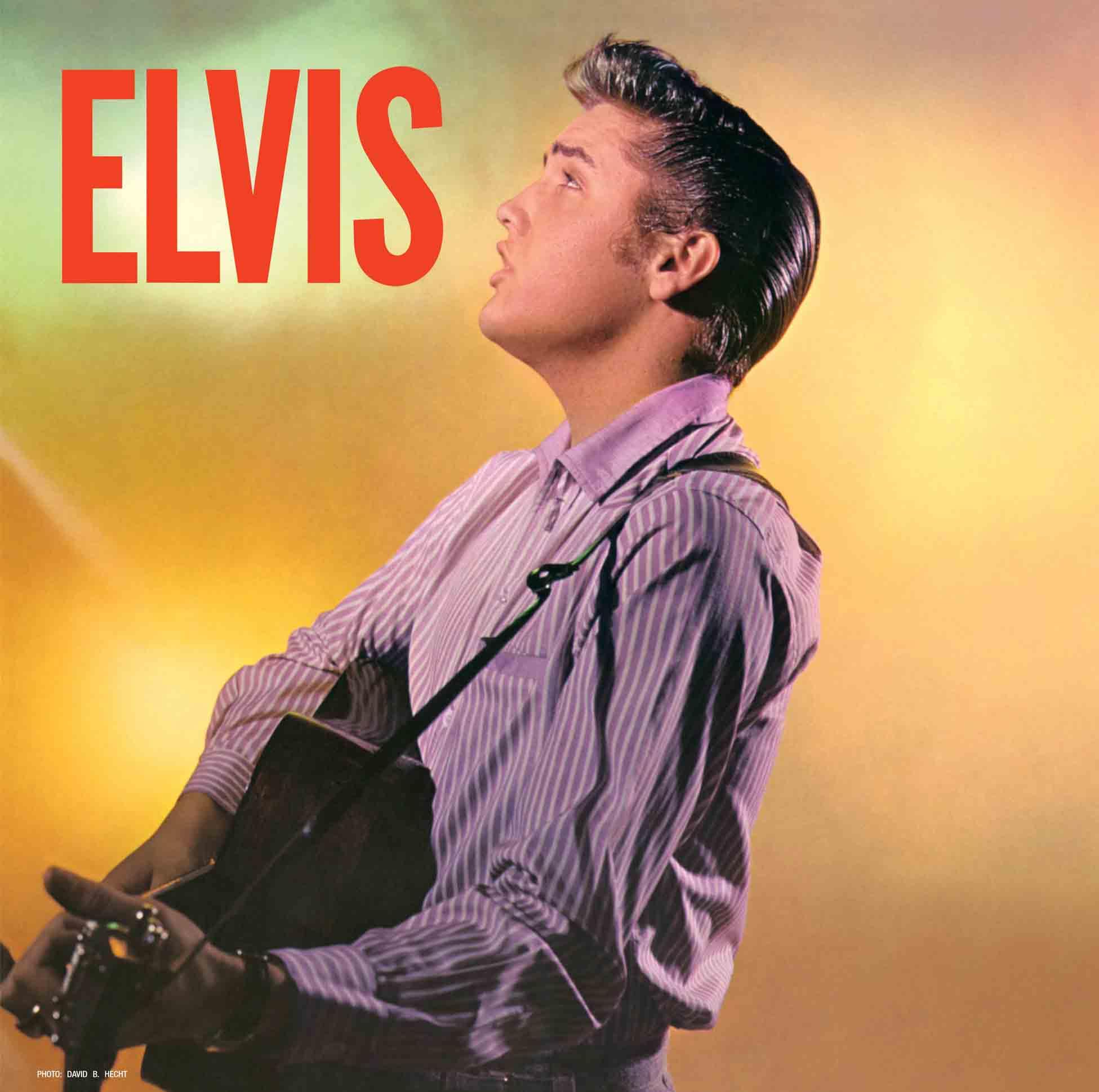 Elvis (Orange