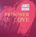James Brown: Prisoner Of Love