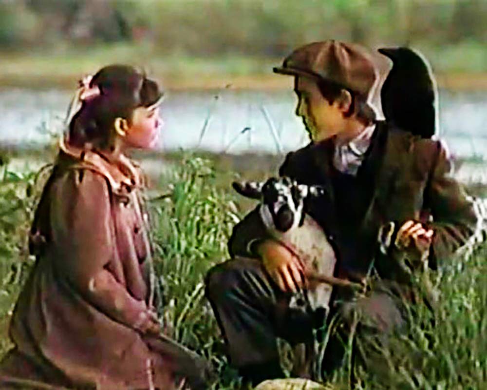 Der geheime Garten. DVD