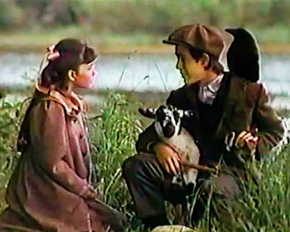 Der geheime Garten. DVD