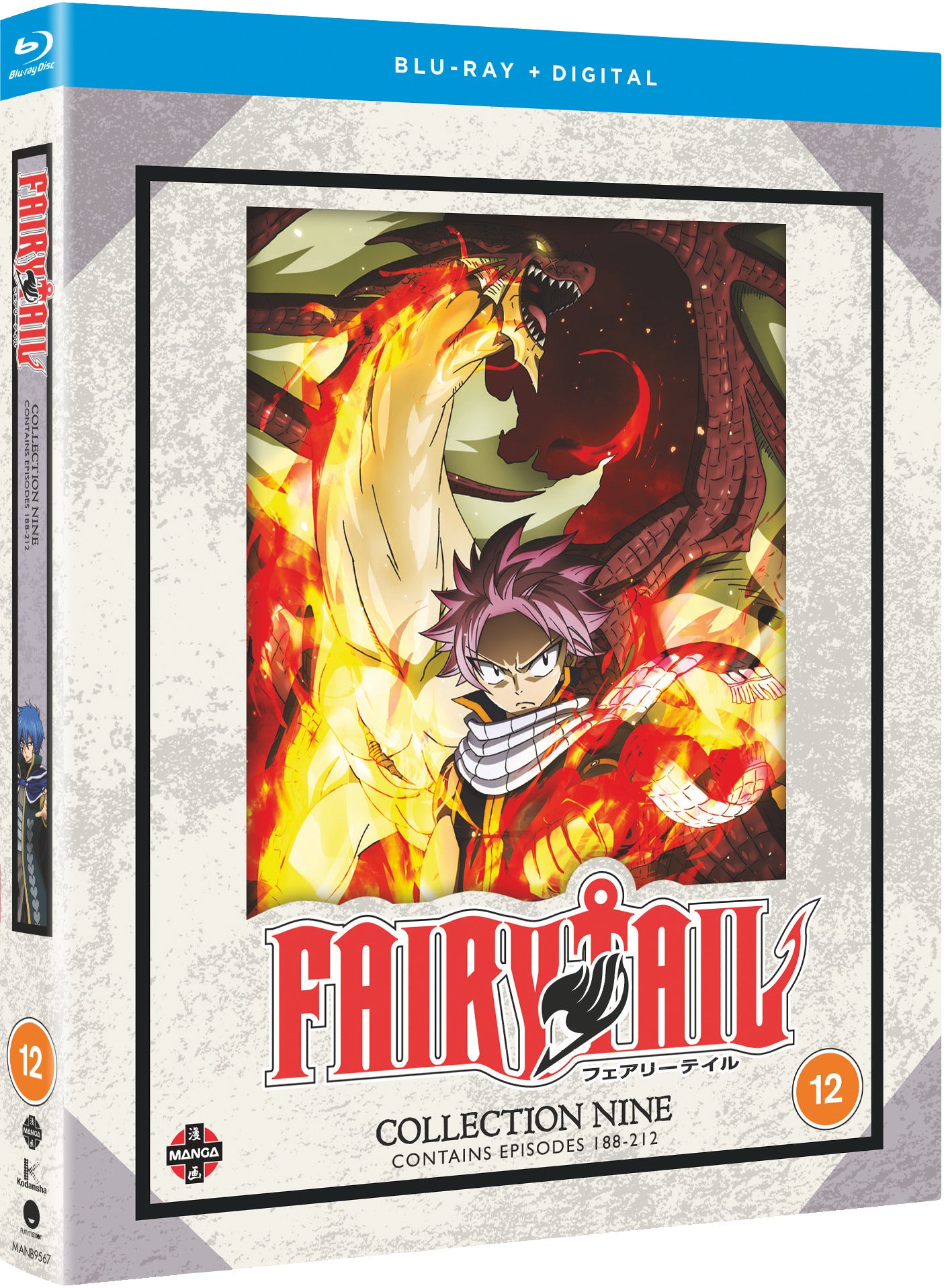 Fairy Tail: Collection 9