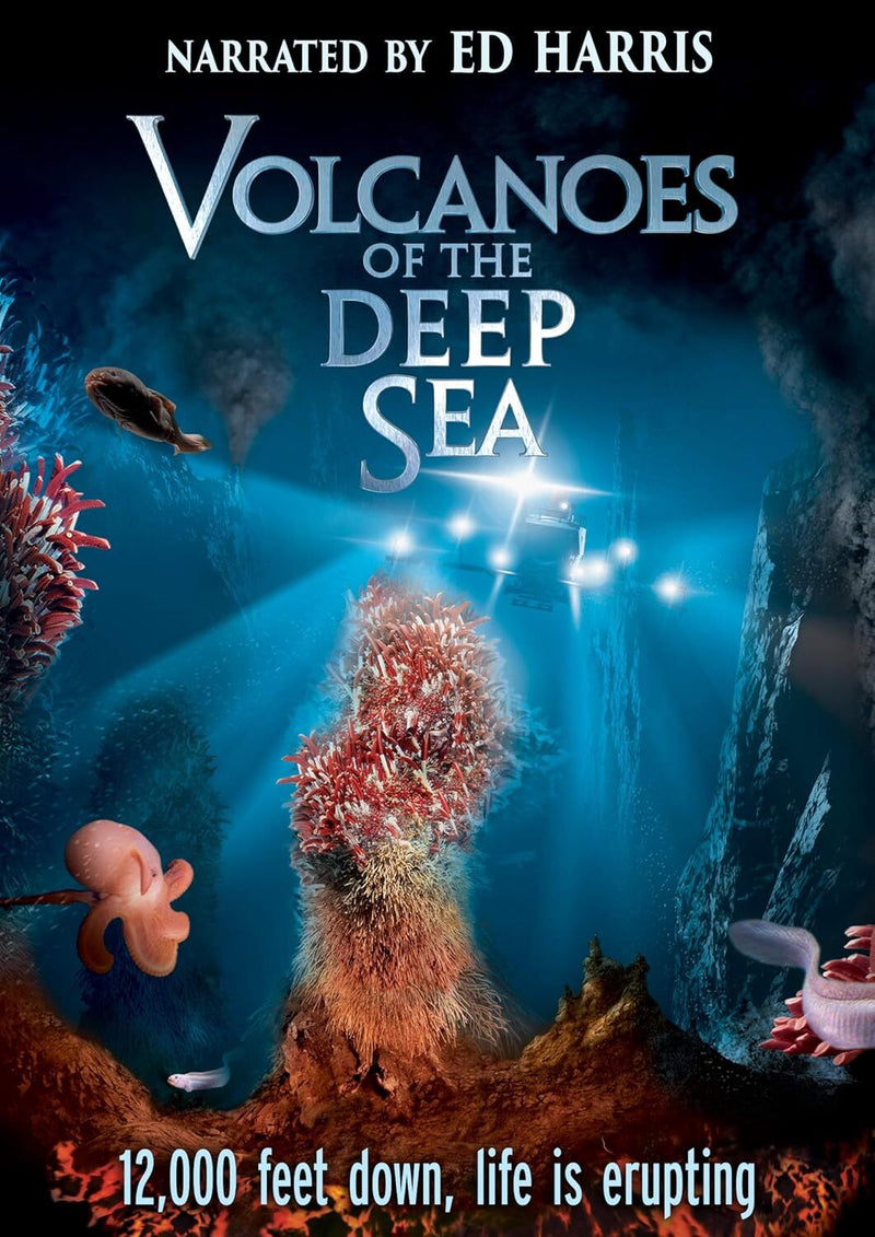 Volcanoes of the Deep Sea
