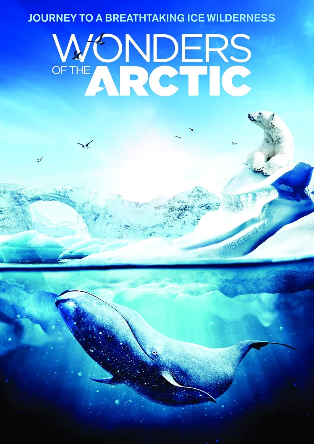 Wonders of the Arctic