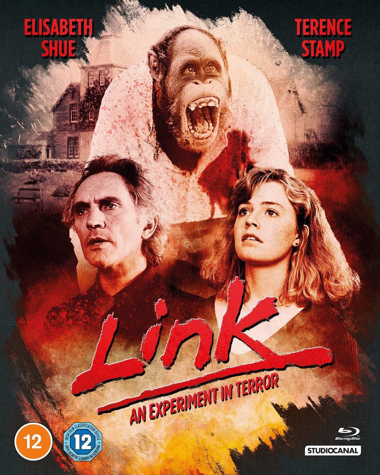 Link