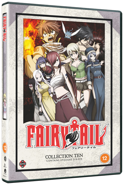 Fairy Tail: Collection 10