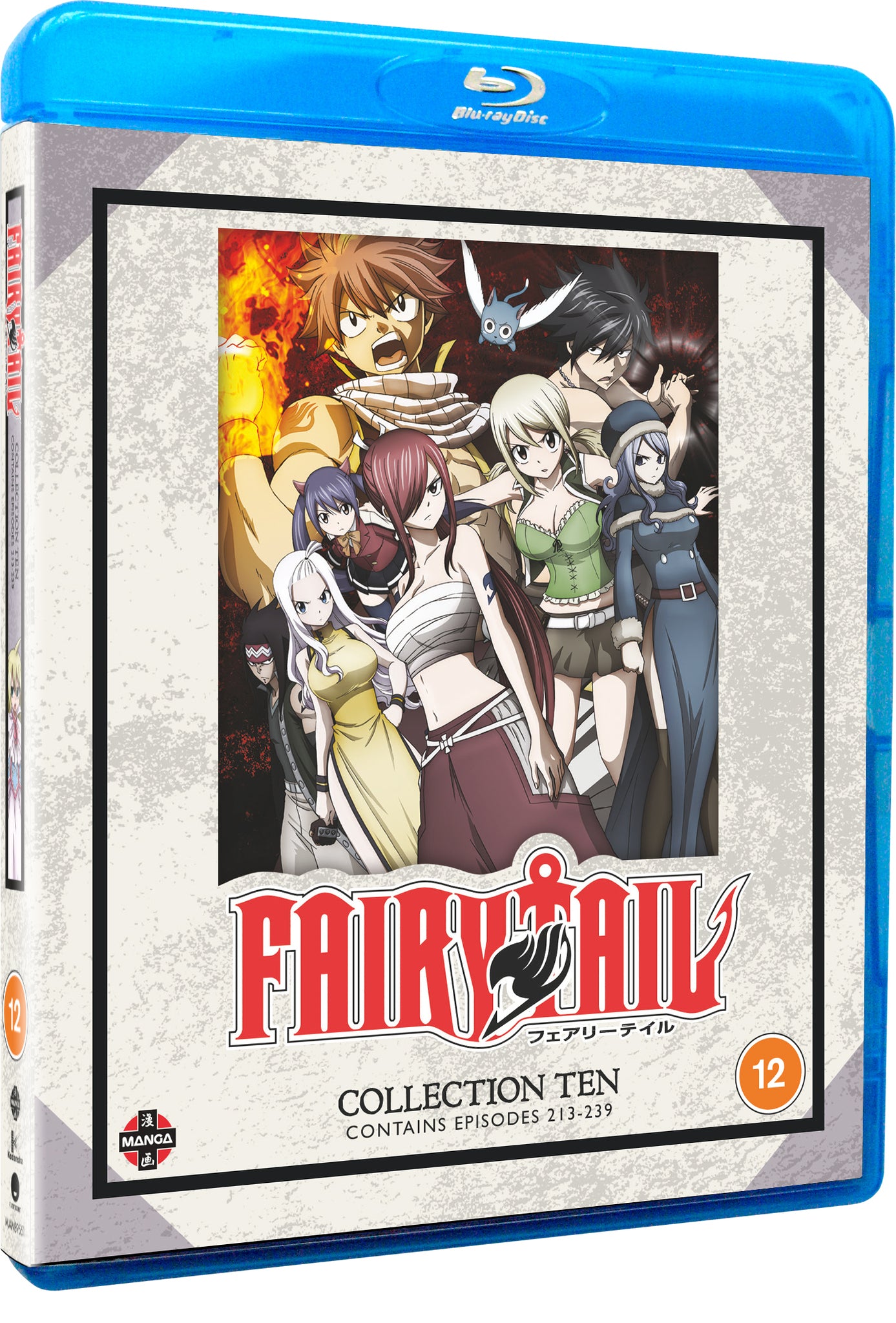 Fairy Tail: Collection 10