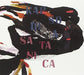 Rapsodia Satanica