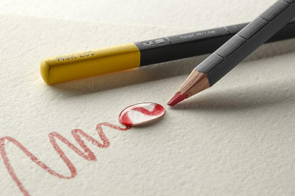 Moleskine Watercolor Pencils (12 Colors