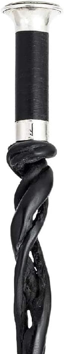 The Noble Collection Die edle Sammlung Albus Dumbledore Wand (Fensterbox