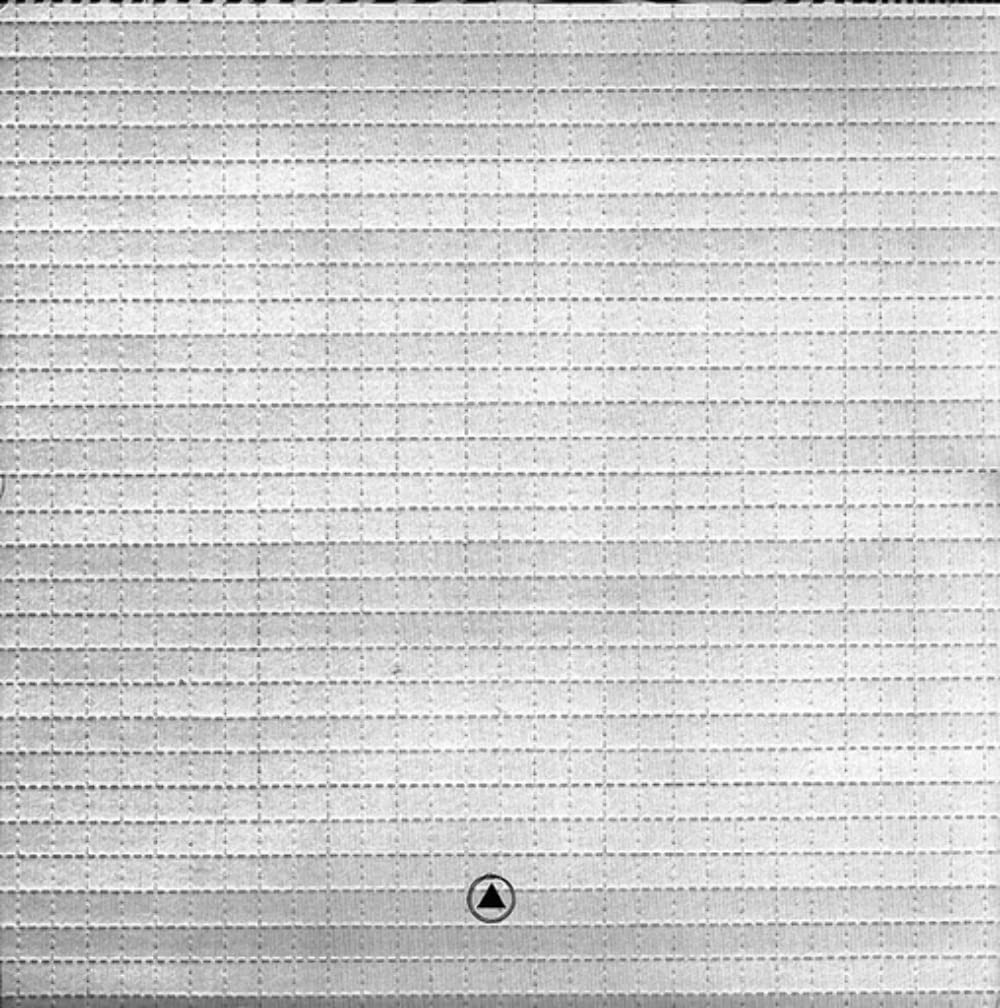 DEEP TRIP (SMOKE VINYL)