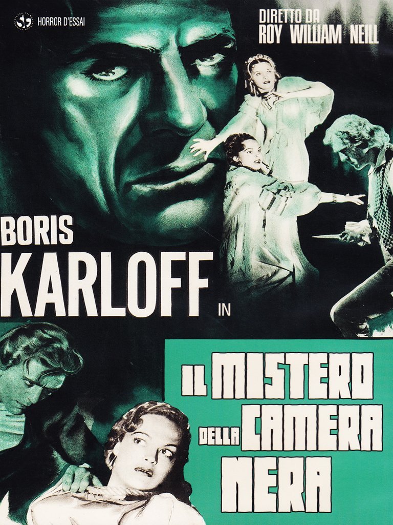 il mistero della camera nera dvd Italian Import