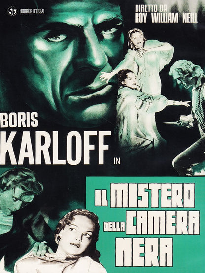 il mistero della camera nera dvd Italian Import